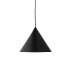 Caeluvyu Modern Minimalist Dark Metal Pendant Lamp