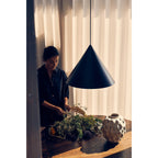 Caeluvyu Modern Minimalist Dark Metal Pendant Lamp
