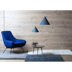 Caeluvyu Modern Minimalist Dark Metal Pendant Lamp