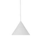 Caeluvyu Modern Minimalist Dark Metal Pendant Lamp