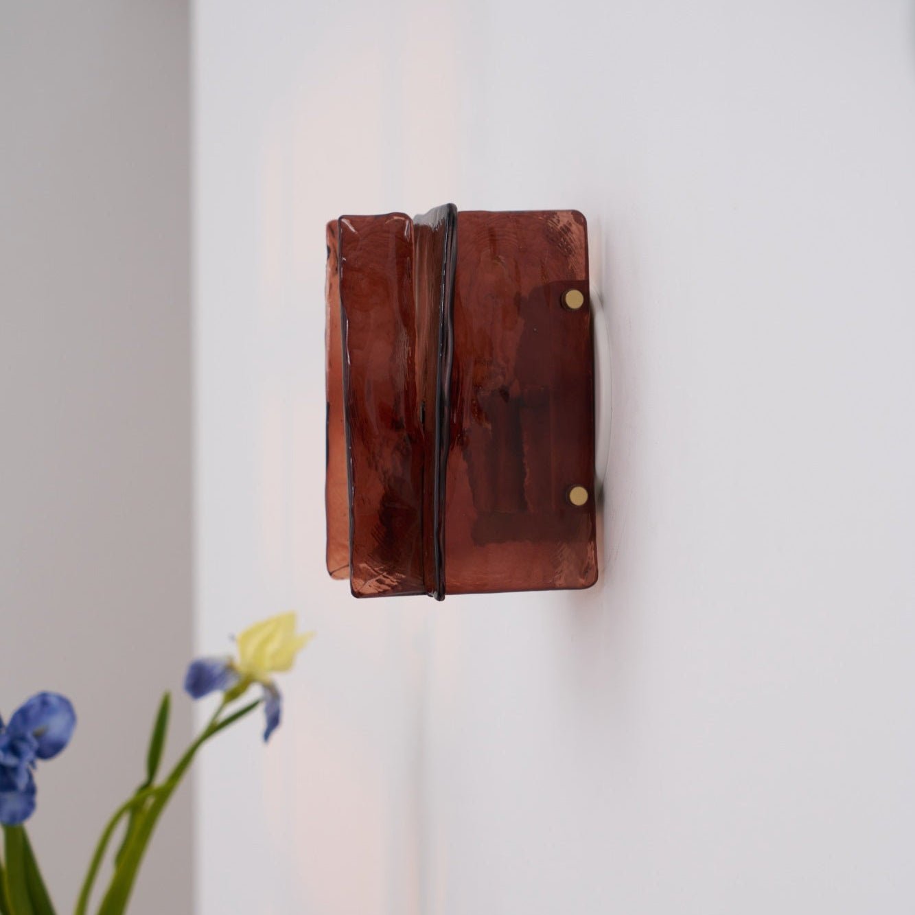 Solanic Glass Artistic Wall Lamp