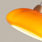 Pendant Lamp Rounded Glass Shade Wood Accent Playful Modern Touch