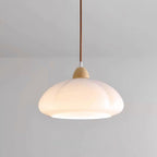 Pendant Lamp Rounded Glass Shade Wood Accent Playful Modern Touch