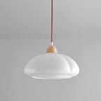 Pendant Lamp Rounded Glass Shade Wood Accent Playful Modern Touch