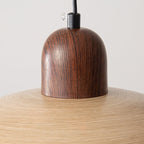 Norrin  Dome Pendant Light