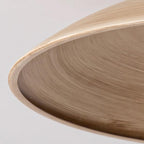 Norrin  Dome Pendant Light