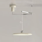 Flux Pendant Lights Morandi Adjustable Arm