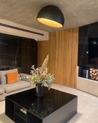 Ceiling Lamp Dome Wood Interior Warm