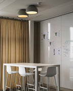 Ceiling Lamp Dome Wood Interior Warm