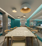 Ceiling Lamp Dome Wood Interior Warm