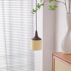 Pendant Lamp White Glass Shade Brown  Vintage