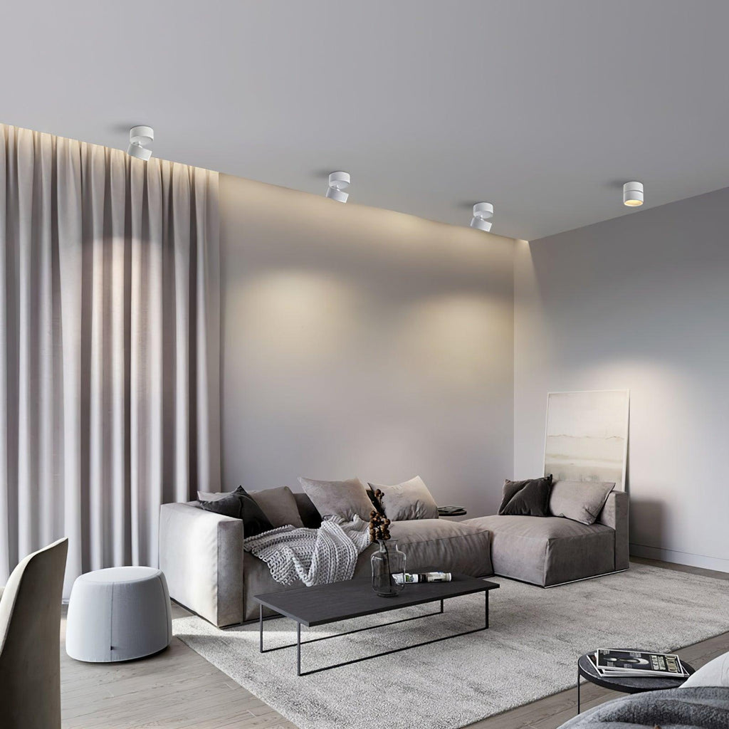 Venn Surface Recessed Light Spot
