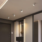 Venn Surface Recessed Light Spot