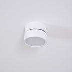 Venn Surface Recessed Light Spot