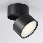 Venn Surface Recessed Light Spot