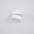 Venn Surface Recessed Light Spot