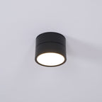 Venn Surface Recessed Light Spot
