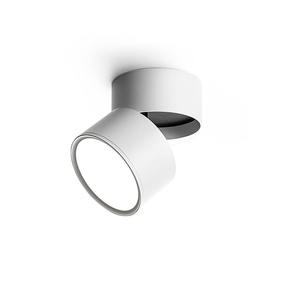 Venn Surface Recessed Light Spot