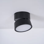 Venn Surface Recessed Light Spot