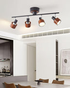 Daven Adjustable 4-Light Track Spotlight