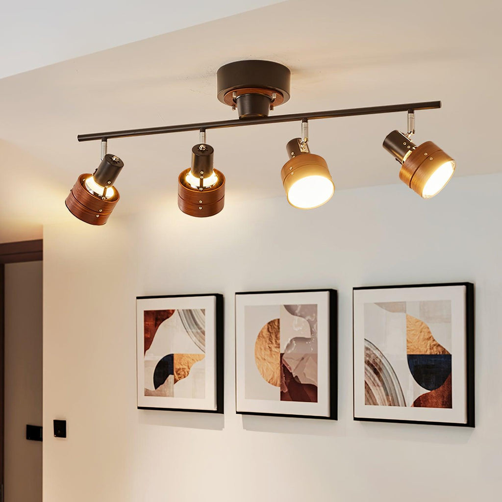 Daven Adjustable 4-Light Track Spotlight