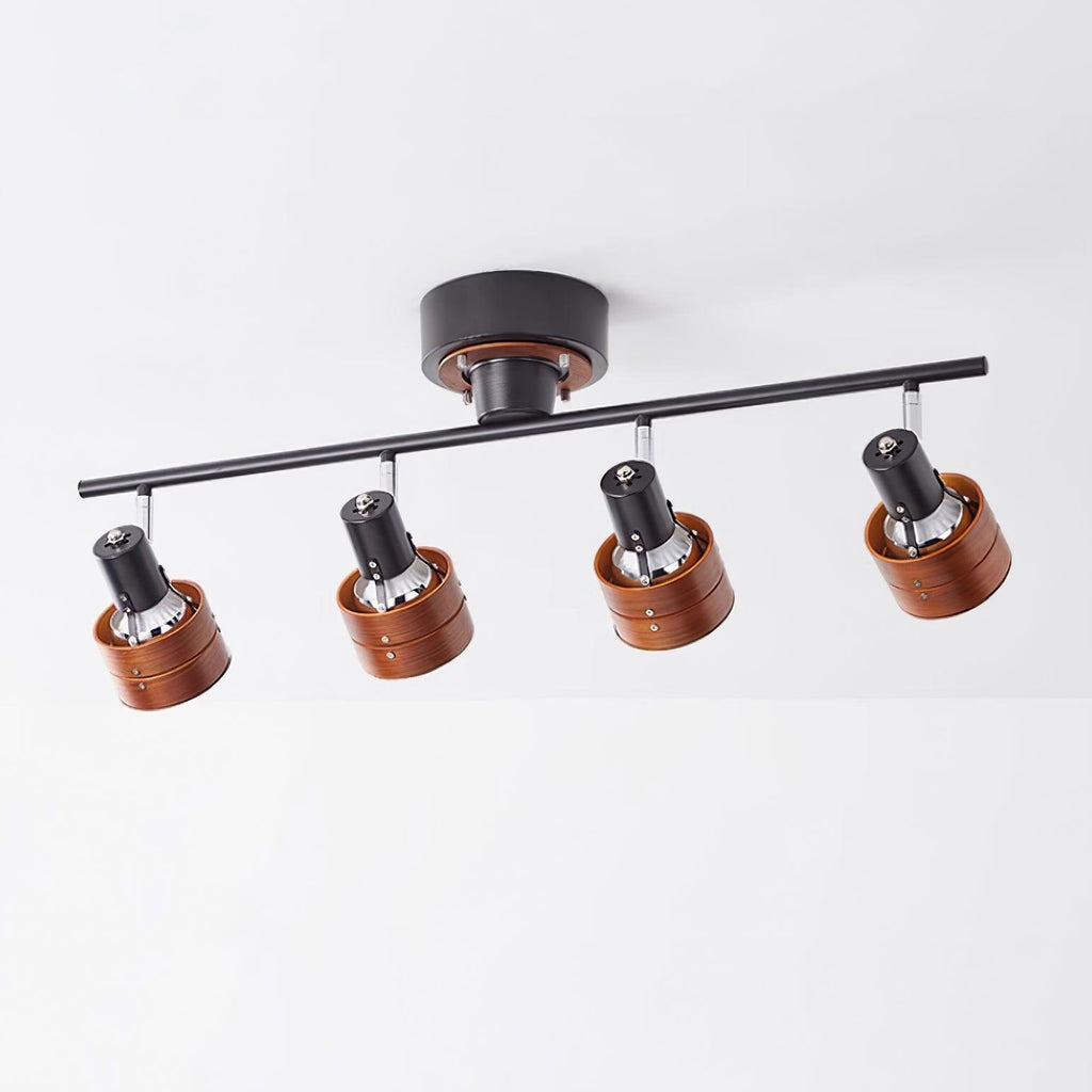 Daven Adjustable 4-Light Track Spotlight