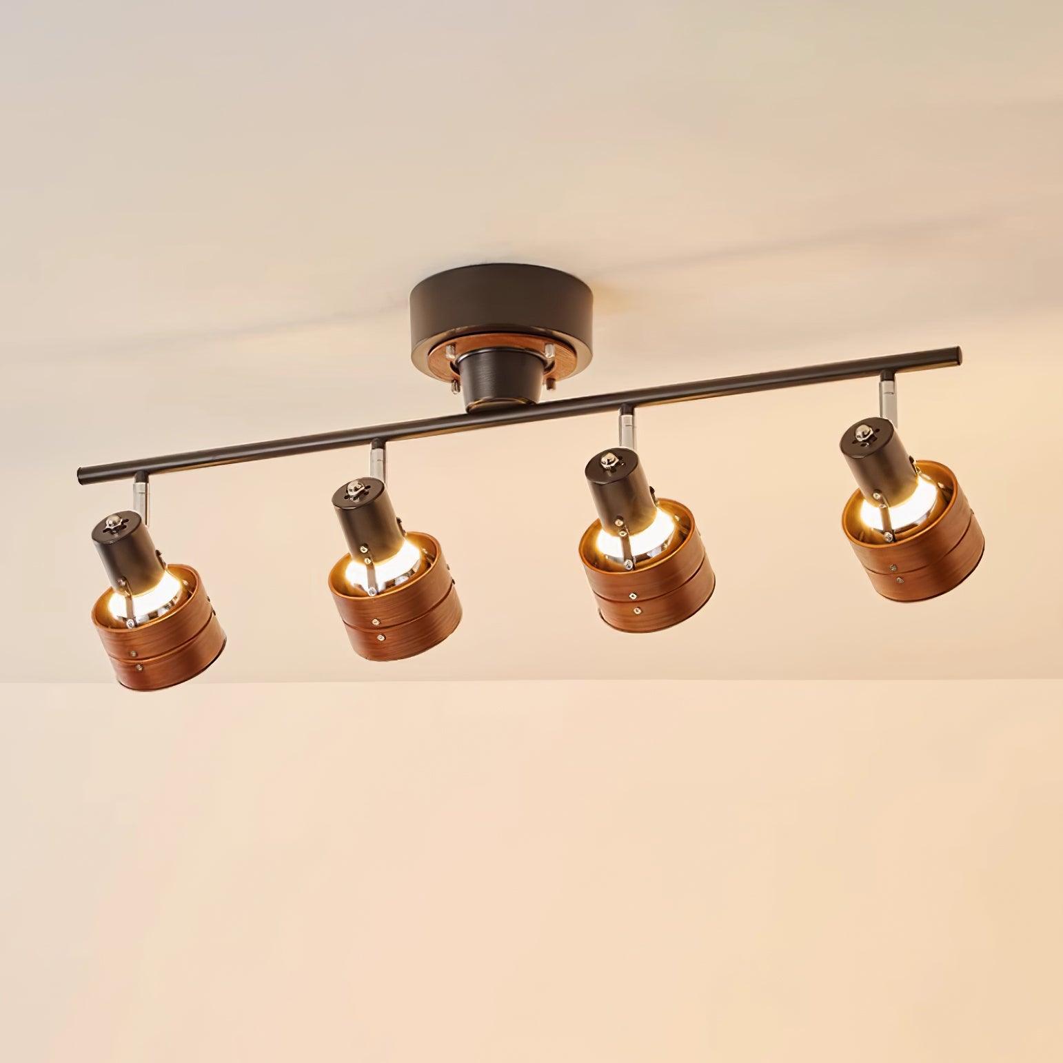 Daven Adjustable 4-Light Track Spotlight