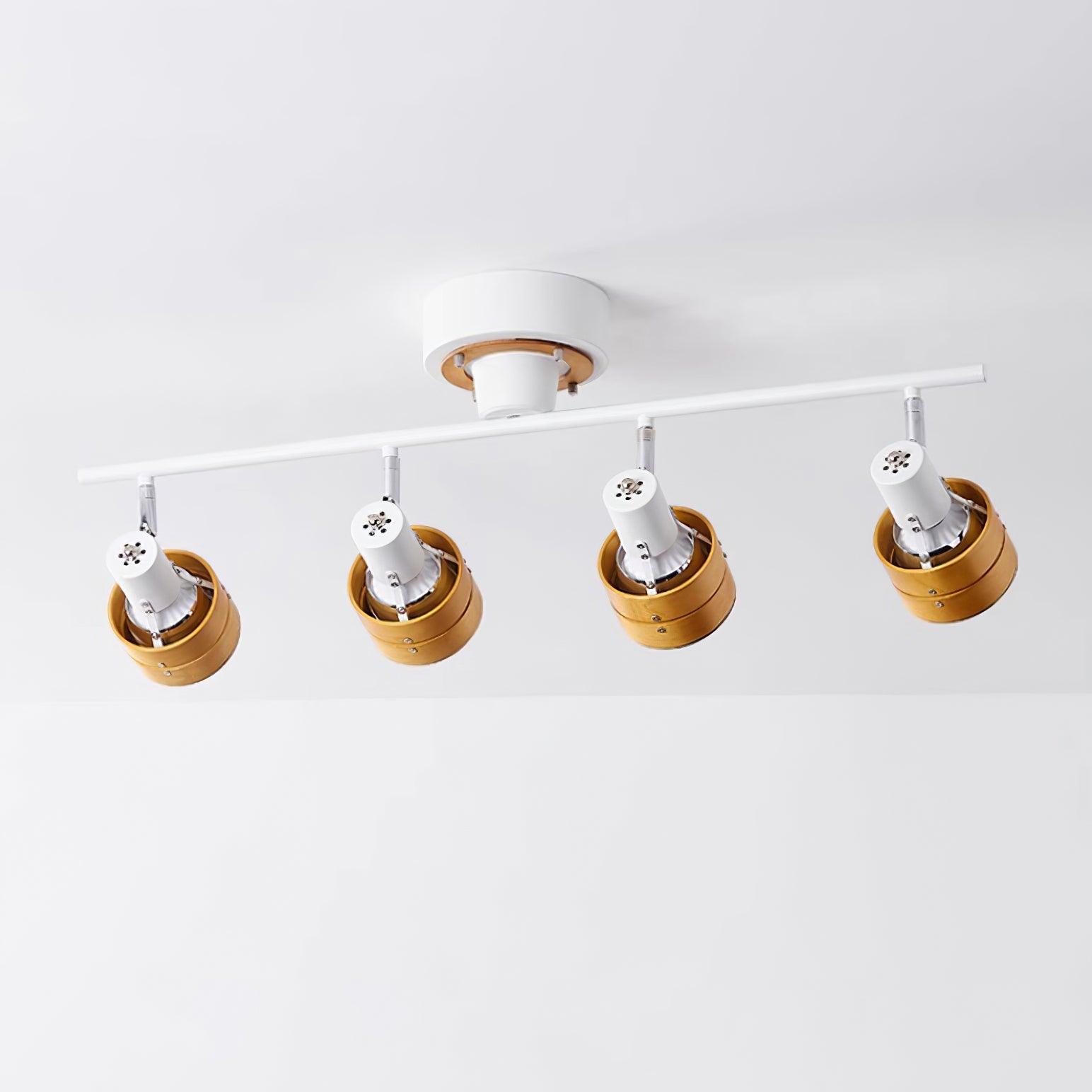Daven Adjustable 4-Light Track Spotlight