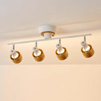 Daven Adjustable 4-Light Track Spotlight
