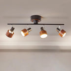 Daven Adjustable 4-Light Track Spotlight