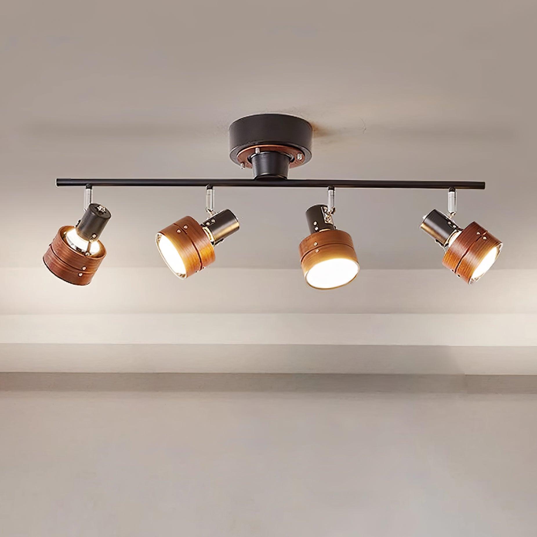 Daven Adjustable 4-Light Track Spotlight