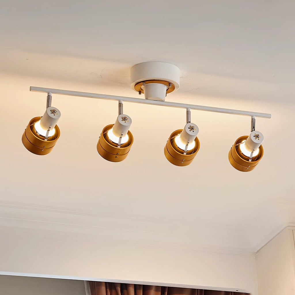 Daven Adjustable 4-Light Track Spotlight