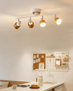 Daven Adjustable 4-Light Track Spotlight