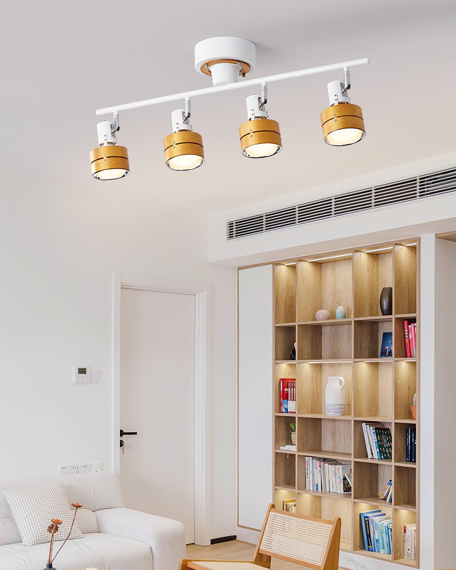 Daven Adjustable 4-Light Track Spotlight