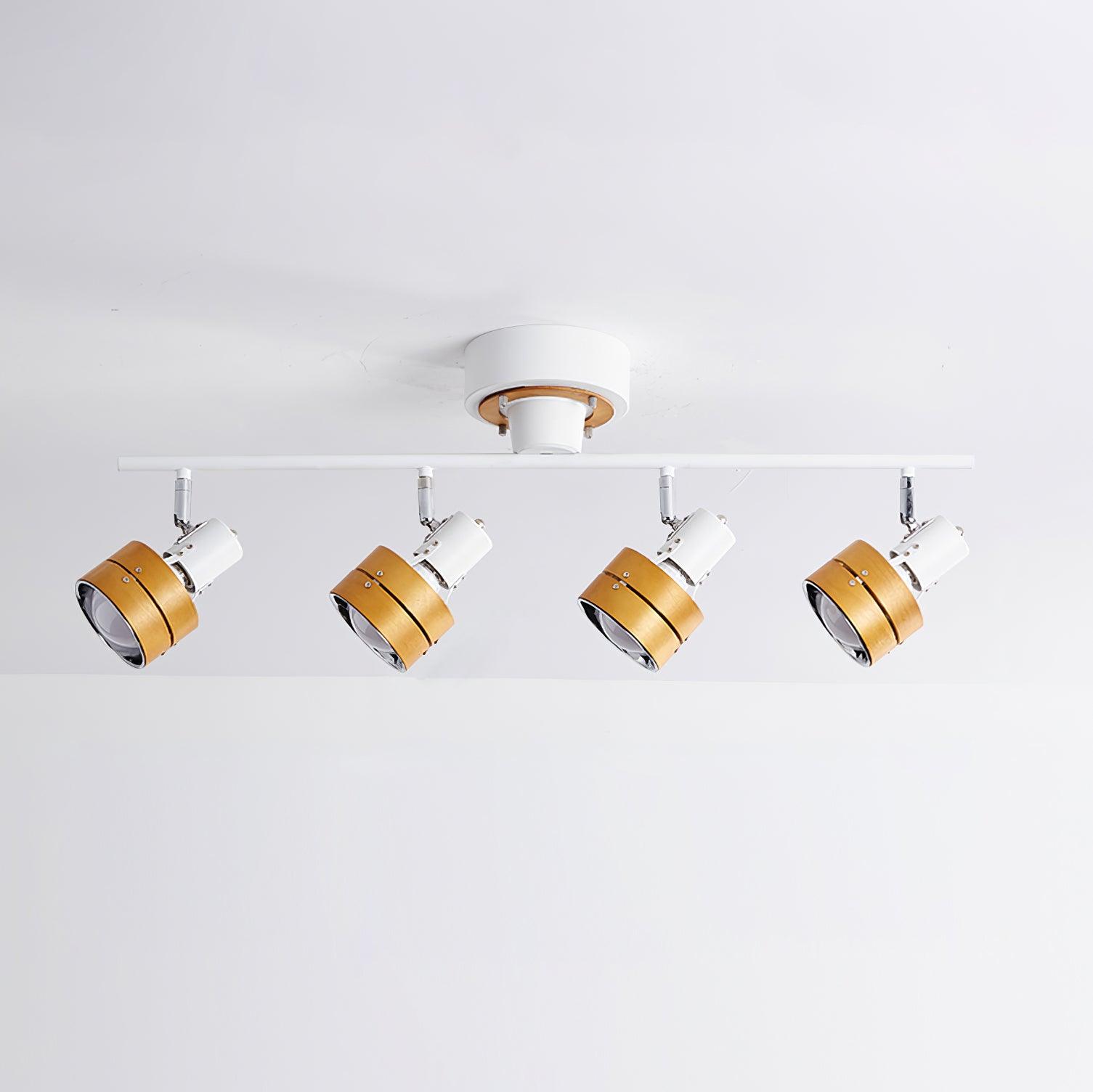 Daven Adjustable 4-Light Track Spotlight
