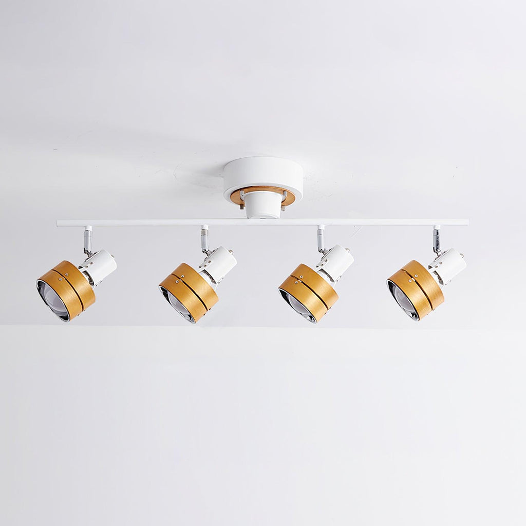 Daven Adjustable 4-Light Track Spotlight