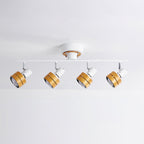 Daven Adjustable 4-Light Track Spotlight