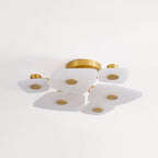 Ilsilyra Petal Shaped Glass Ceiling Light