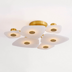 Ilsilyra Petal Shaped Glass Ceiling Light