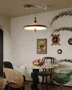 Geyon Adjustable Arm Pendant Lamp
