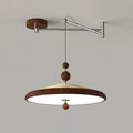 Geyon Adjustable Arm Pendant Lamp