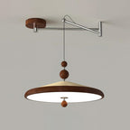 Geyon Adjustable Arm Pendant Lamp