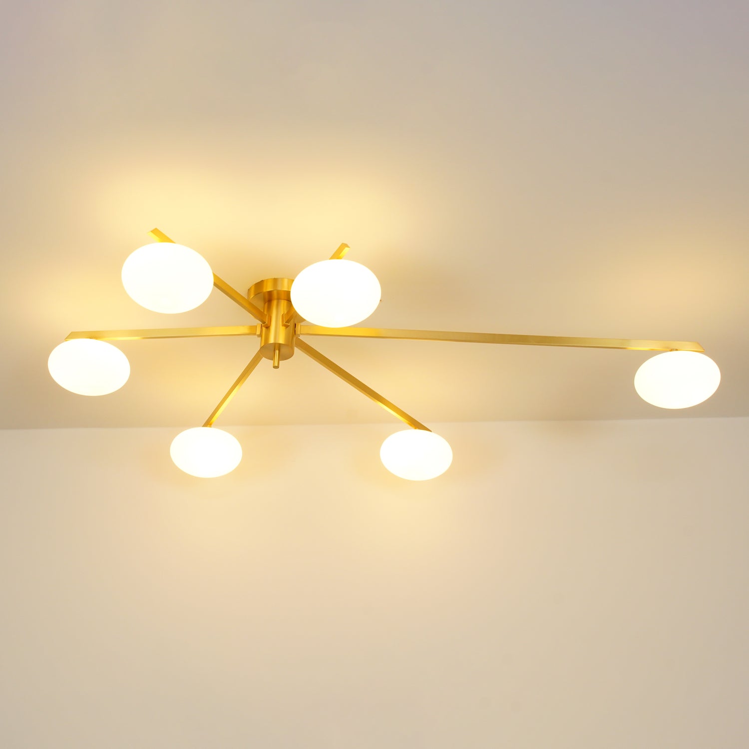 Jania Modern Glass Black Ceiling Light