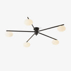 Jania Modern Glass Black Ceiling Light