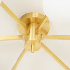 Jania Modern Glass Black Ceiling Light