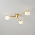 Jania Modern Glass Black Ceiling Light