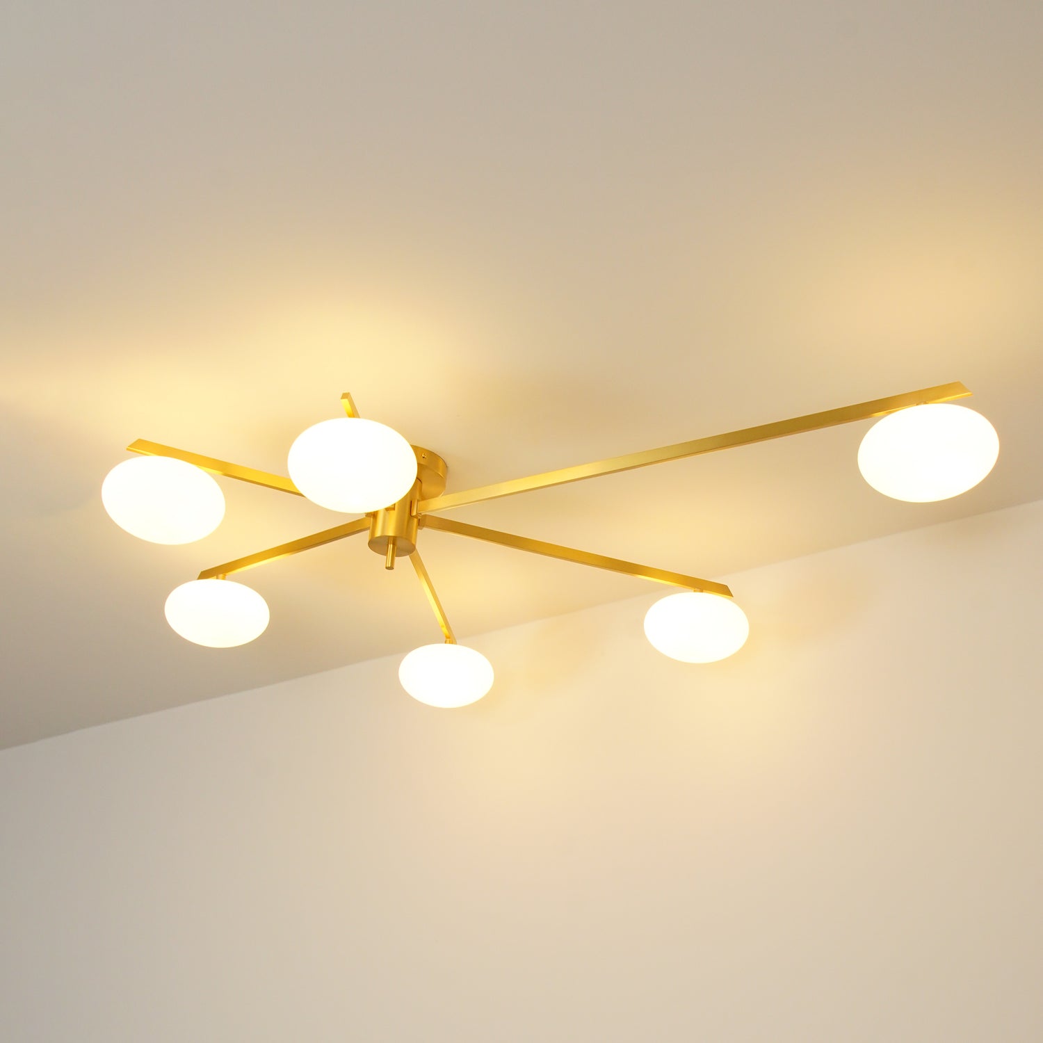 Jania Modern Glass Black Ceiling Light