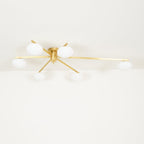 Jania Modern Glass Black Ceiling Light