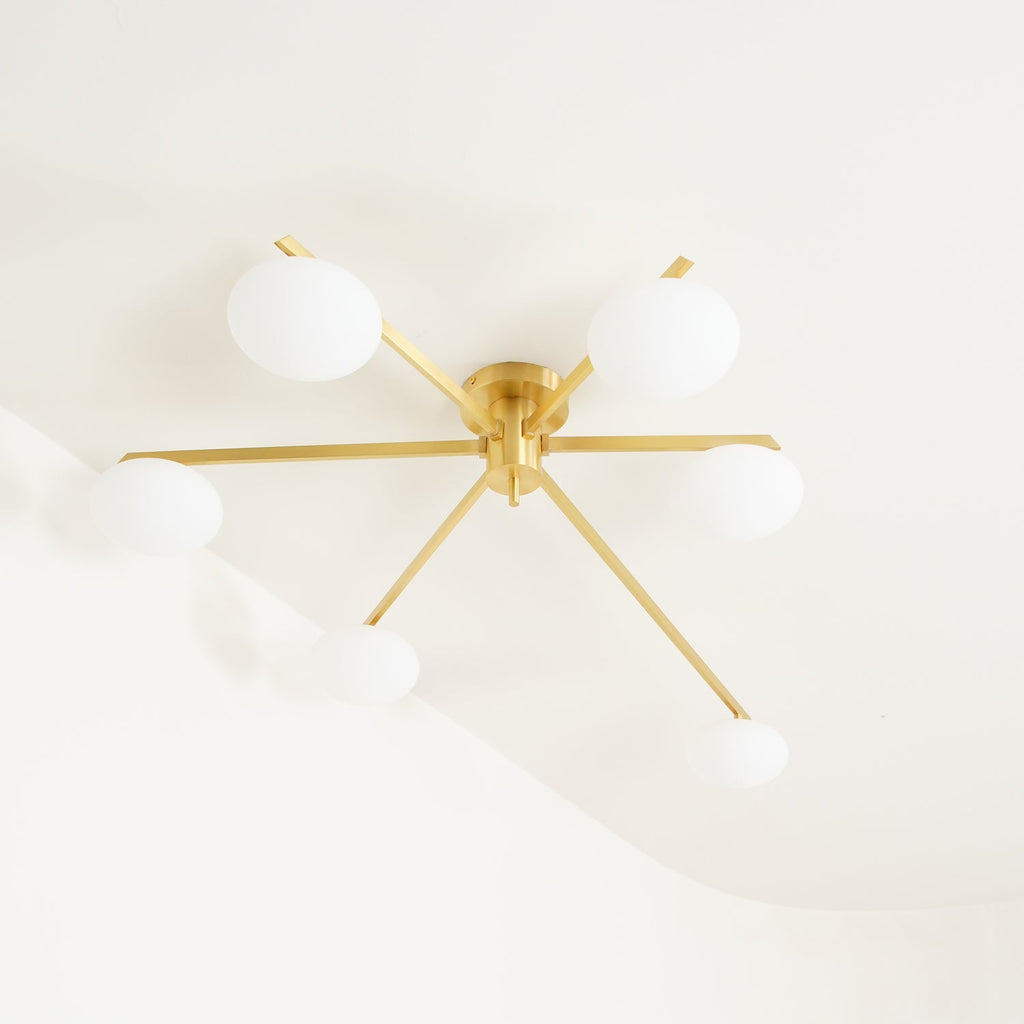 Jania Modern Glass Black Ceiling Light
