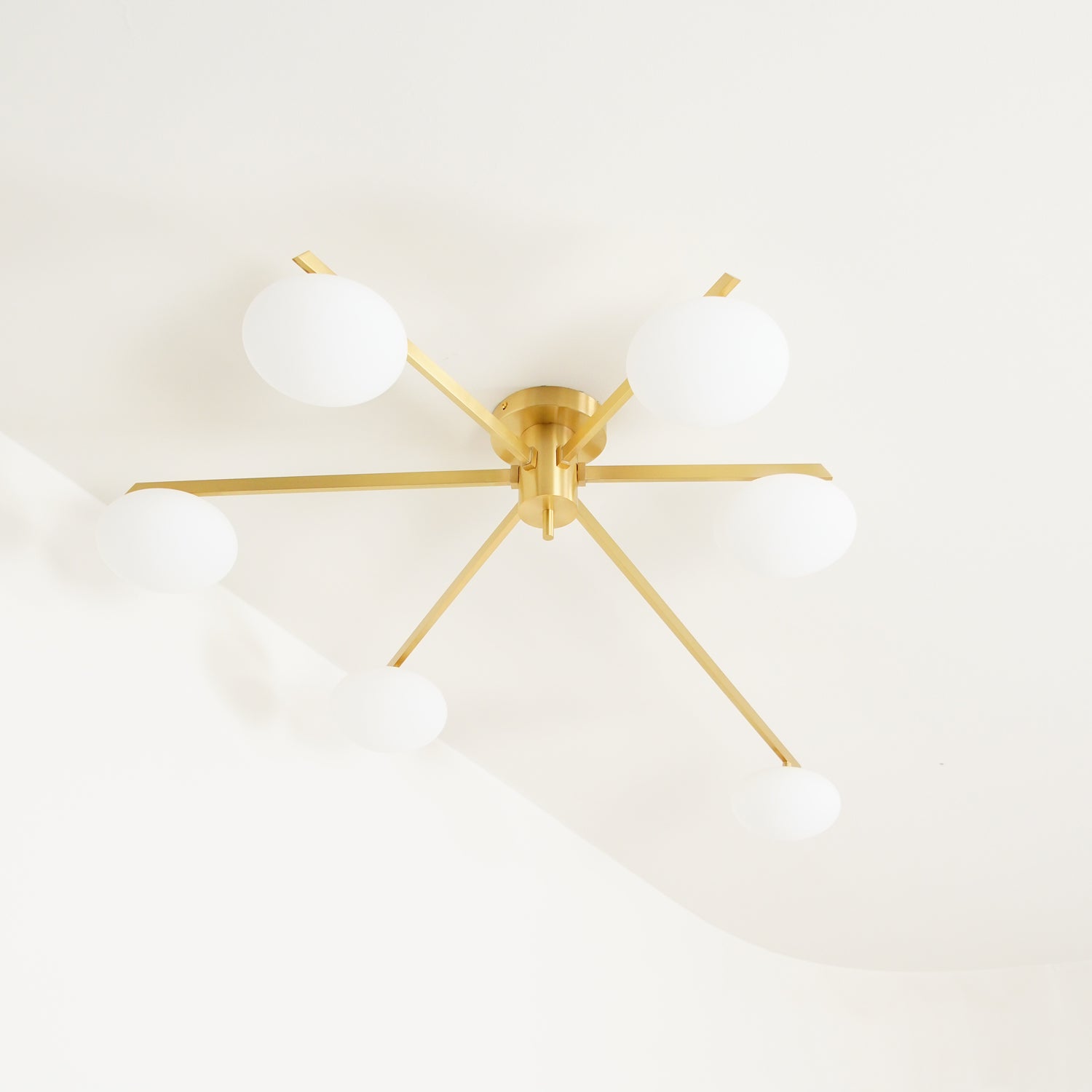 Jania Modern Glass Black Ceiling Light